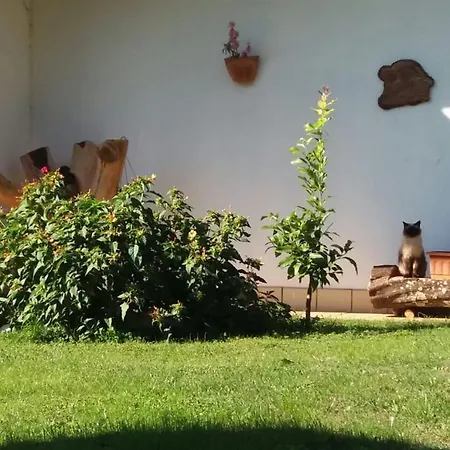 Casetta In Collina Sezze