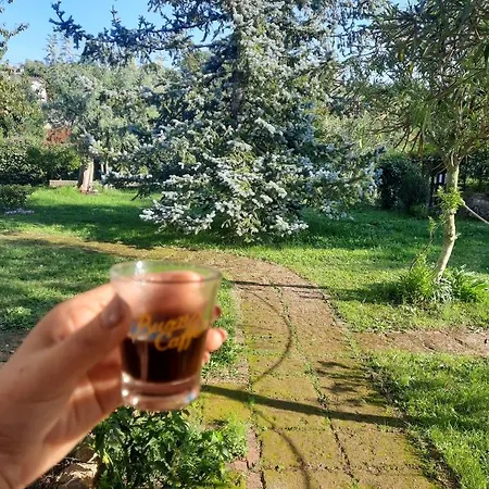 Dom wakacyjny Casetta In Collina Sezze