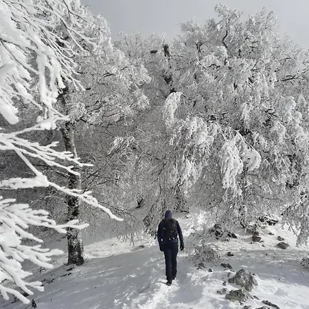 Casetta In Collina