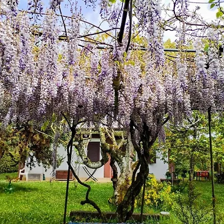 Casetta In Collina Casa de Férias Sezze